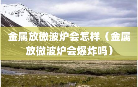 金属放微波炉会怎样（金属放微波炉会爆炸吗）