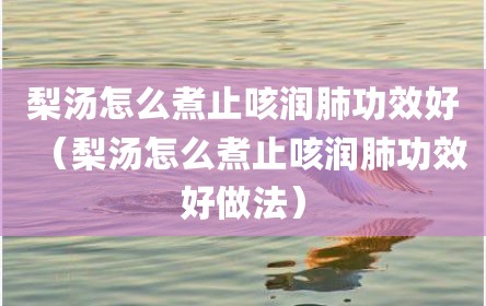 梨汤怎么煮止咳润肺功效好（梨汤怎么煮止咳润肺功效好做法）