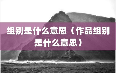 组别是什么意思（作品组别是什么意思）