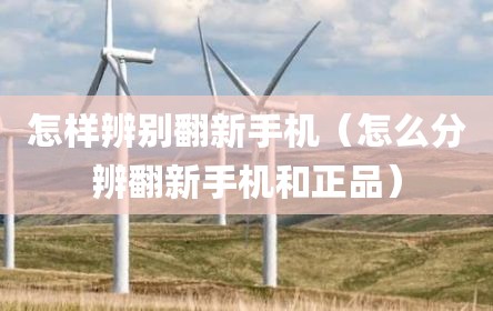 怎样辨别翻新手机（怎么分辨翻新手机和正品）