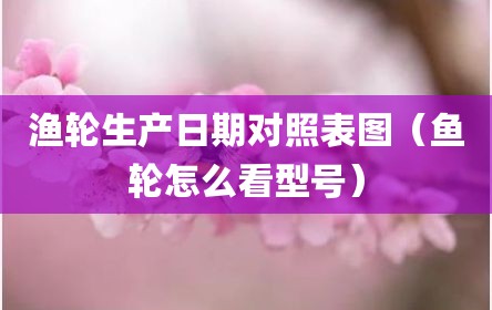 渔轮生产日期对照表图（鱼轮怎么看型号）