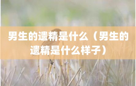 男生的遗精是什么（男生的遗精是什么样子）