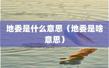 地委是什么意思（地委是啥意思）