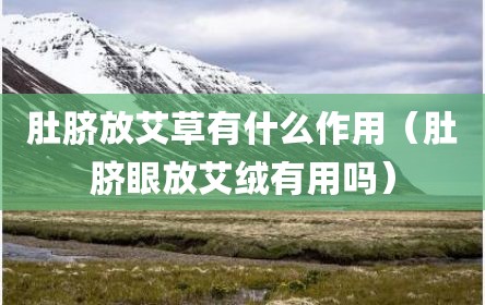 肚脐放艾草有什么作用（肚脐眼放艾绒有用吗）