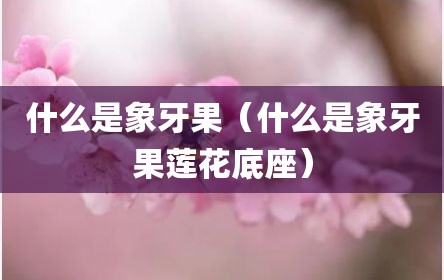 什么是象牙果（什么是象牙果莲花底座）