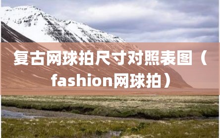复古网球拍尺寸对照表图（fashion网球拍）
