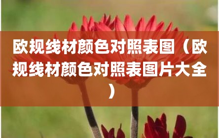 欧规线材颜色对照表图（欧规线材颜色对照表图片大全）