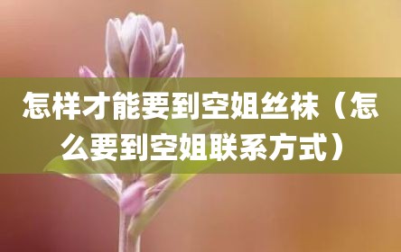 怎样才能要到空姐丝袜（怎么要到空姐联系方式）