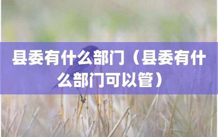 县委有什么部门（县委有什么部门可以管）
