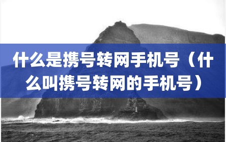 什么是携号转网手机号（什么叫携号转网的手机号）