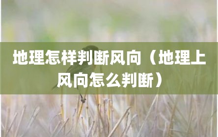 地理怎样判断风向（地理上风向怎么判断）