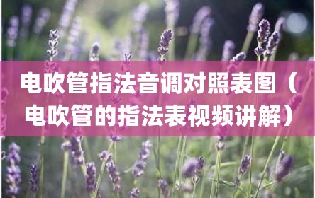电吹管指法音调对照表图（电吹管的指法表视频讲解）