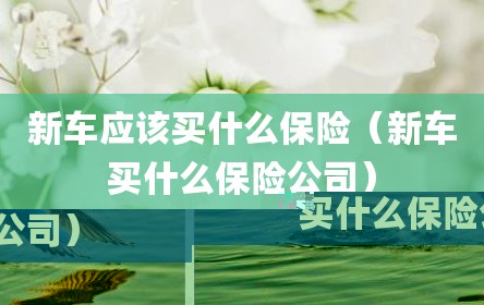 新车应该买什么保险（新车买什么保险公司）
