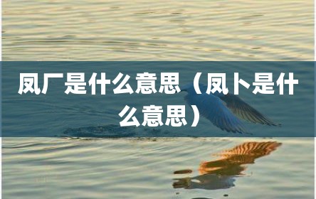 凤厂是什么意思（凤卜是什么意思）