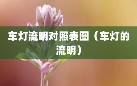 车灯流明对照表图（车灯的流明）