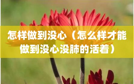怎样做到没心（怎么样才能做到没心没肺的活着）