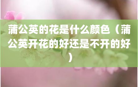 蒲公英的花是什么颜色（蒲公英开花的好还是不开的好）