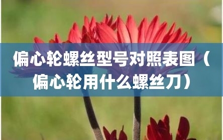 偏心轮螺丝型号对照表图（偏心轮用什么螺丝刀）