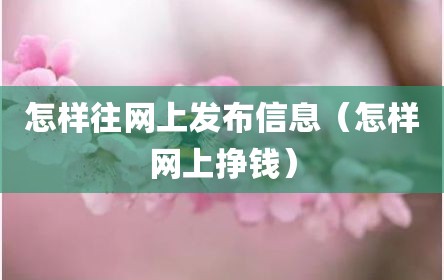 怎样往网上发布信息（怎样网上挣钱）
