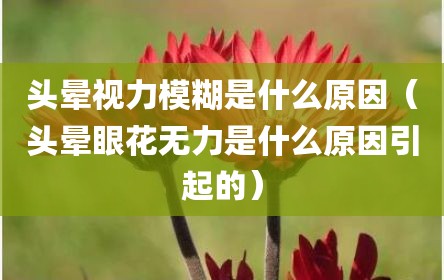 头晕视力模糊是什么原因（头晕眼花无力是什么原因引起的）