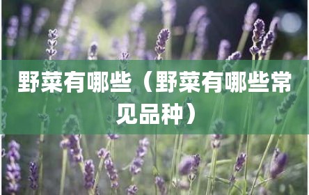 野菜有哪些（野菜有哪些常见品种）