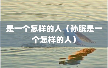 是一个怎样的人（孙膑是一个怎样的人）