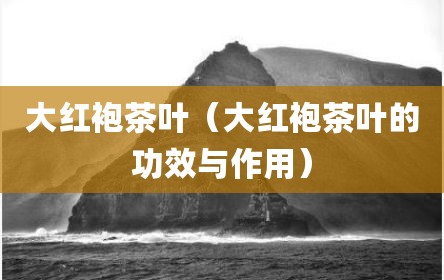 大红袍茶叶（大红袍茶叶的功效与作用）