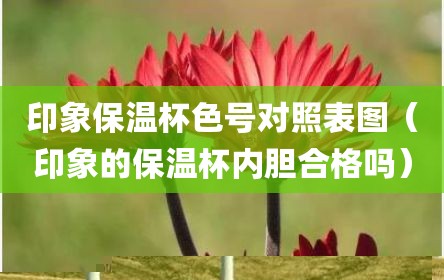 印象保温杯色号对照表图（印象的保温杯内胆合格吗）