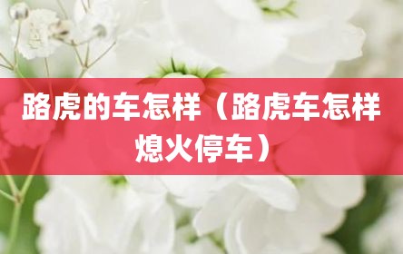 路虎的车怎样（路虎车怎样熄火停车）