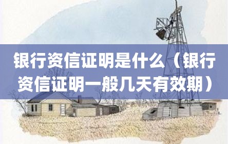银行资信证明是什么（银行资信证明一般几天有效期）