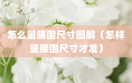 怎么量腰围尺寸图解（怎样量腰围尺寸才准）