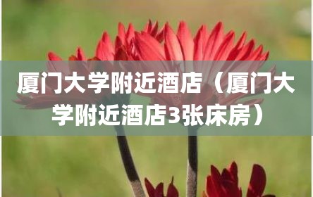 厦门大学附近酒店（厦门大学附近酒店3张床房）