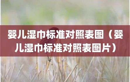 婴儿湿巾标准对照表图（婴儿湿巾标准对照表图片）