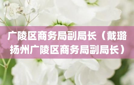广陵区商务局副局长（戴璐扬州广陵区商务局副局长）