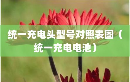 统一充电头型号对照表图（统一充电电池）