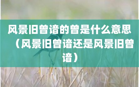 风景旧曾谙的曾是什么意思（风景旧曾谙还是风景旧曾谙）
