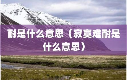 耐是什么意思（寂寞难耐是什么意思）