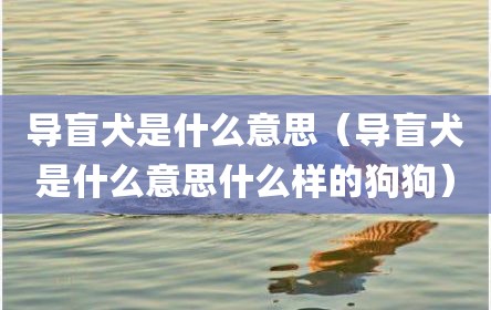 导盲犬是什么意思（导盲犬是什么意思什么样的狗狗）