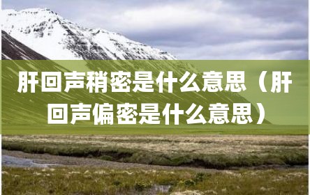 肝回声稍密是什么意思（肝回声偏密是什么意思）