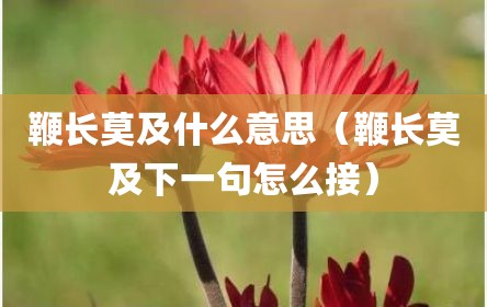 鞭长莫及什么意思（鞭长莫及下一句怎么接）
