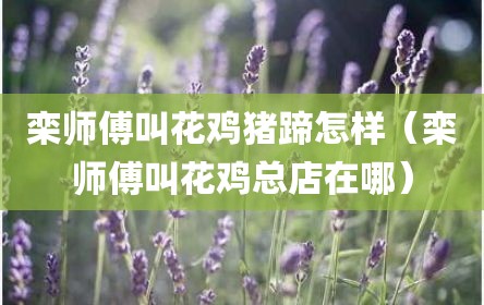 栾师傅叫花鸡猪蹄怎样（栾师傅叫花鸡总店在哪）
