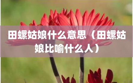 田螺姑娘什么意思（田螺姑娘比喻什么人）