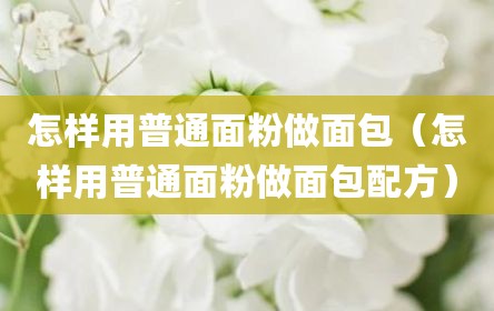 怎样用普通面粉做面包（怎样用普通面粉做面包配方）