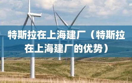 特斯拉在上海建厂（特斯拉在上海建厂的优势）