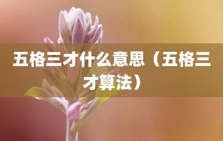 五格三才什么意思（五格三才算法）
