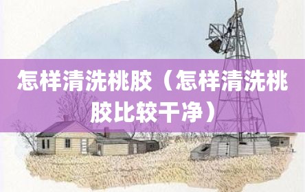 怎样清洗桃胶（怎样清洗桃胶比较干净）
