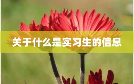 关于什么是实习生的信息