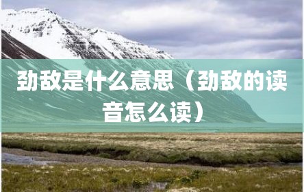 劲敌是什么意思（劲敌的读音怎么读）