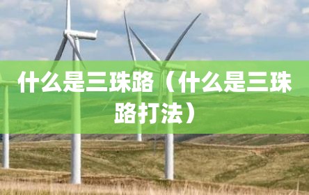 什么是三珠路（什么是三珠路打法）