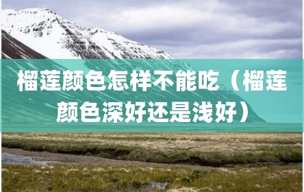 榴莲颜色怎样不能吃（榴莲颜色深好还是浅好）